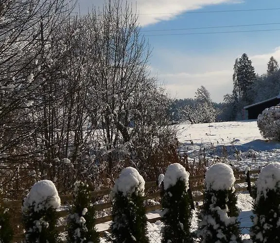 Apartamento Kusternik *